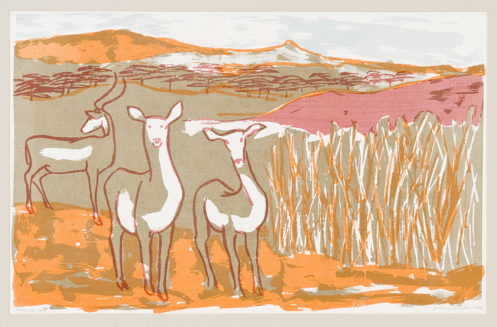 Jessie Wilber_Paw Prints_Uganda Kob.JPG